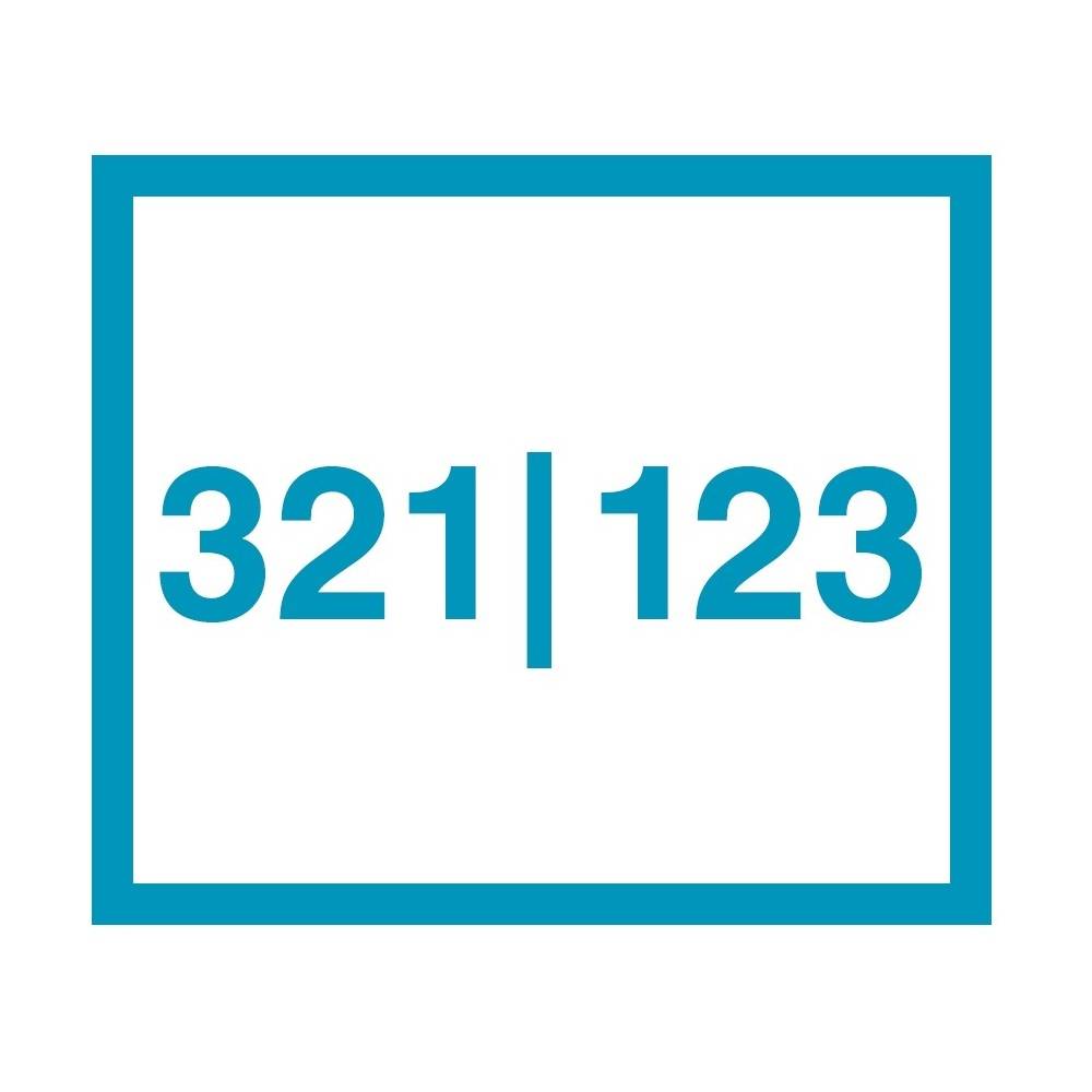 Модуль Brady Flip Flop