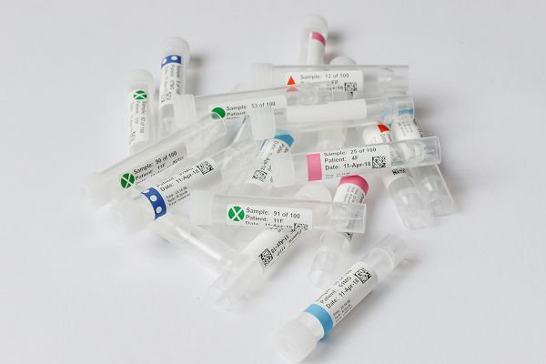 Frame 1321315826.jpg