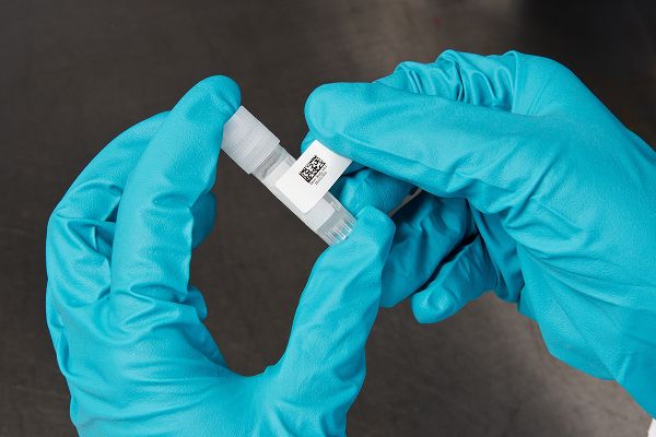 Frame 1321315827.jpg