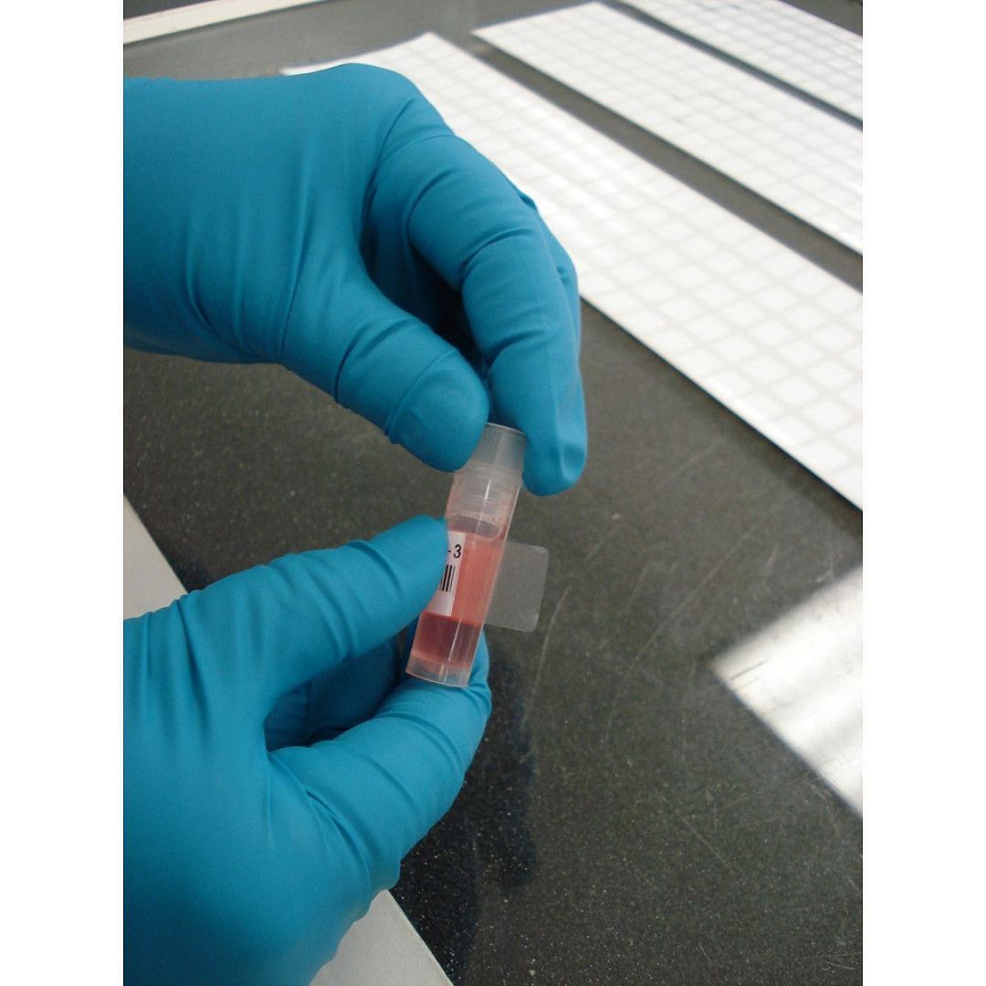 Самоламинирующаяся этикетка BRADY, полиэстер B-461  для принтеров BMP71, M710