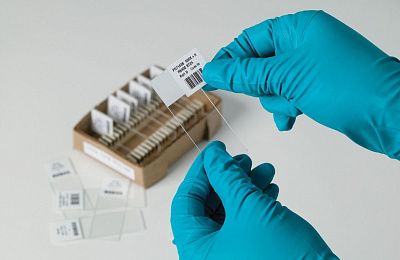 Перемещаемая этикетка Brady для принтера BBP12, полиэстер В-488