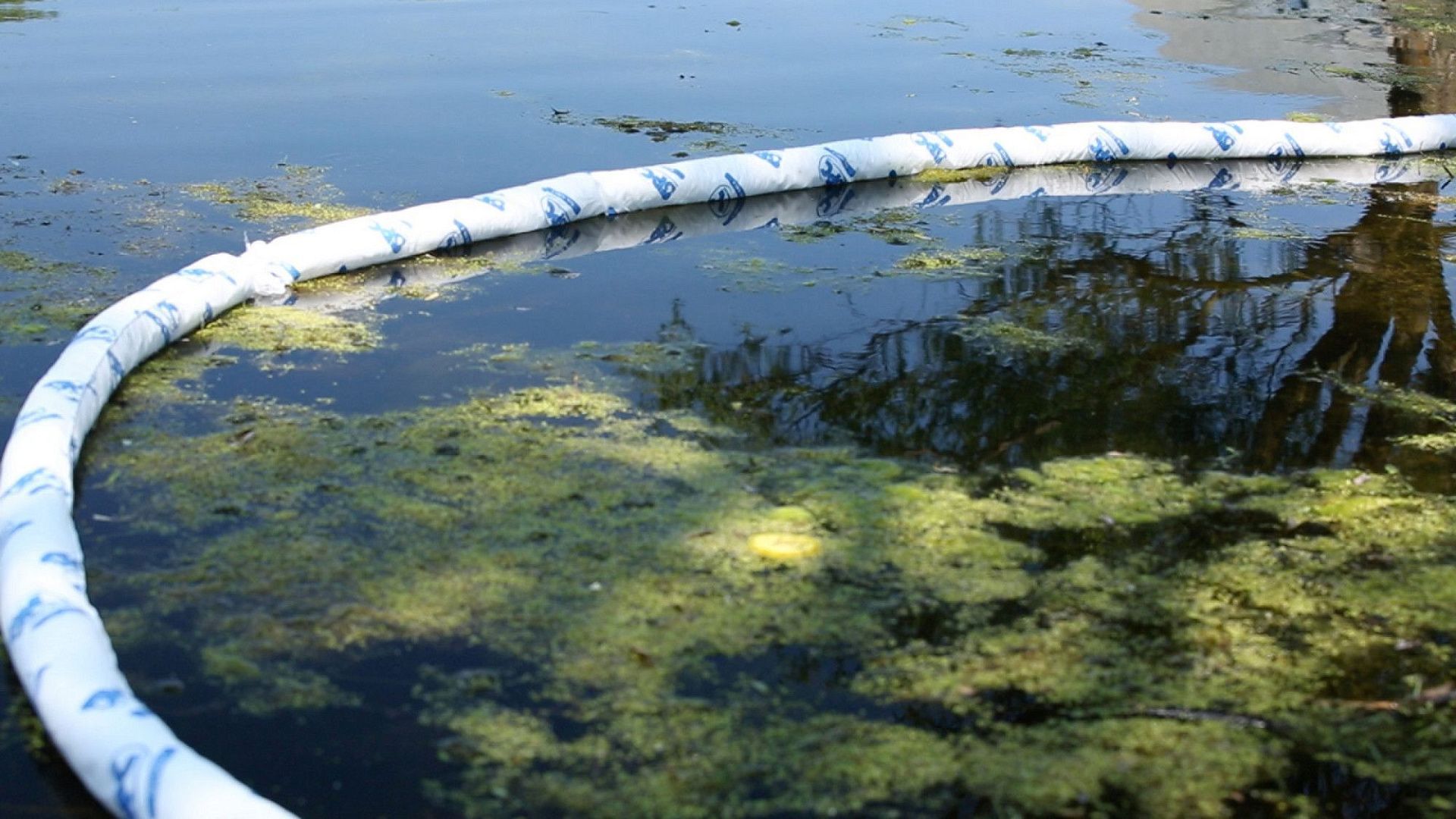 Бон масловпитывающий Brady SOC Oil Only