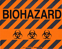 Напольная самоклеющаяся табличка с надписью "Biohazard"