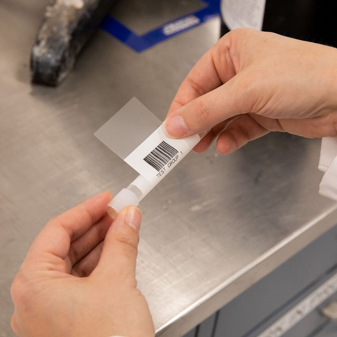 Самоламинирующаяся этикетка Brady для принтера BBP12, полиэстер B-461