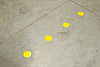 Метки Brady ToughStripe на прозрачной ленте, фиксированный шаг - форма круга, полиэстер B-514