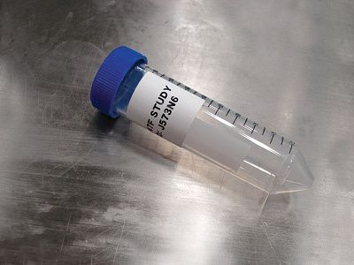 Портативный принтер этикеток BRADY BMP21-PLUS