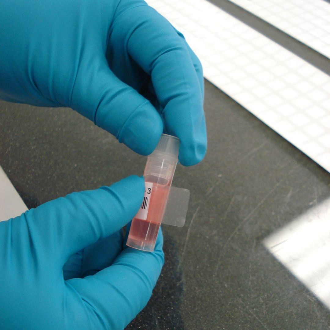 Самоламинирующаяся этикетка Brady для принтера BBP12, полиэстер B-461