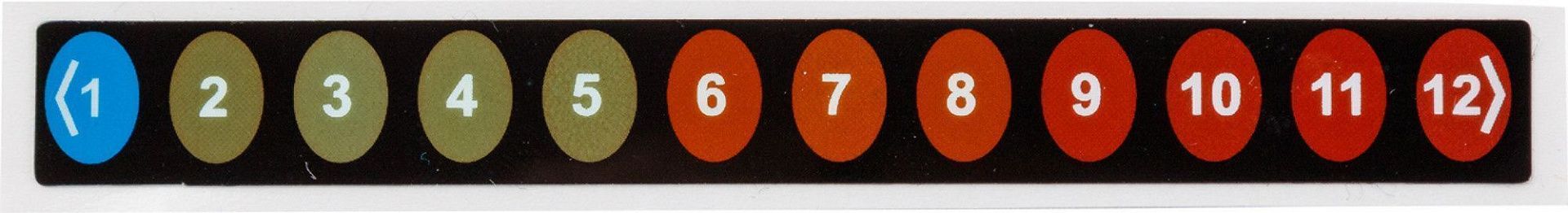 Этикетка-индикатор температур, 12-уровневая индикация, обратимая