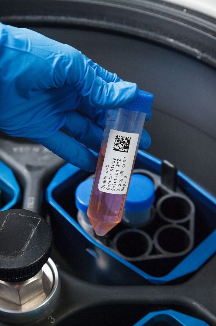 Самоламинирующаяся этикетка Brady для принтера BBP12, полиэстер B-461